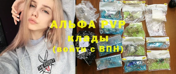 винт Алексин