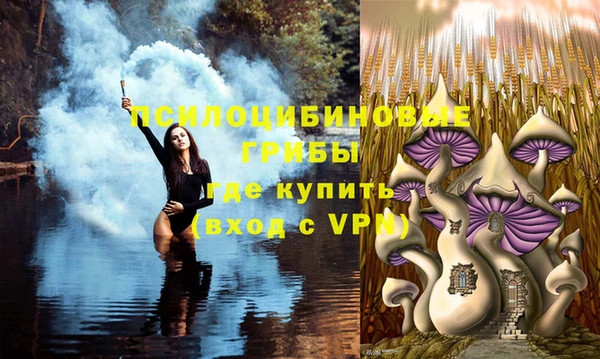 бутират Аркадак