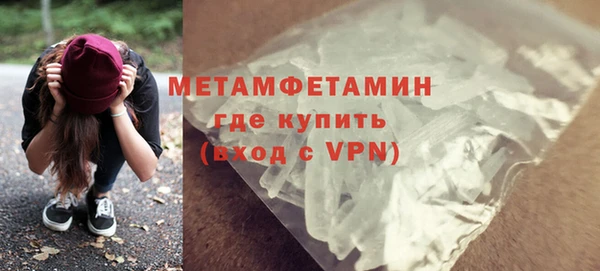 индика Медвежьегорск