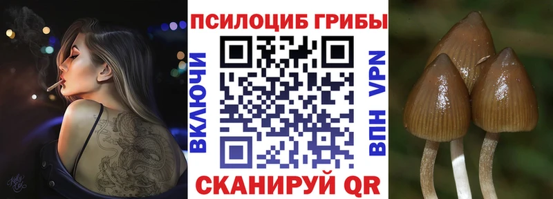 купить наркотики сайты Петропавловск-Камчатский маркетплейс официальный сайт Галлюциногенные грибы Magic Shrooms
